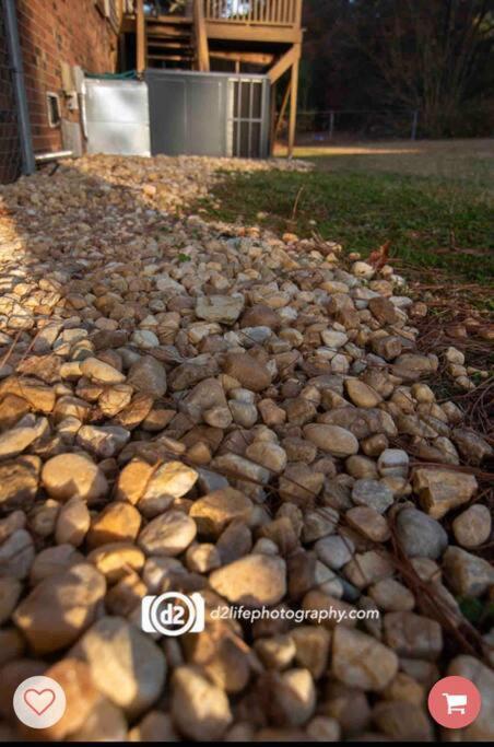 Pine Forest Zen Cottage - 10 Min To Fort Bragg Fayetteville Exterior photo
